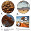 Paysage australien Outback Spectrum II - reproduction sur toile-233390217-233390223