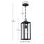 Schlesinger Outdoor Hanging Lantern