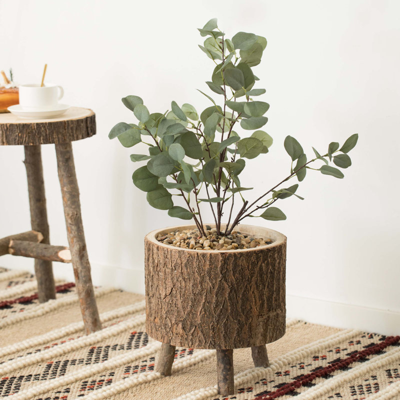 Pot à fleurs en bois Pauly