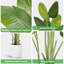 Anietra 180cm Faux Bird Of Paradise Plant in Pot
