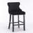 Contemporary Leisure Barstools