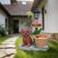 Statue d'extérieur de jardinière solaire chiot assis