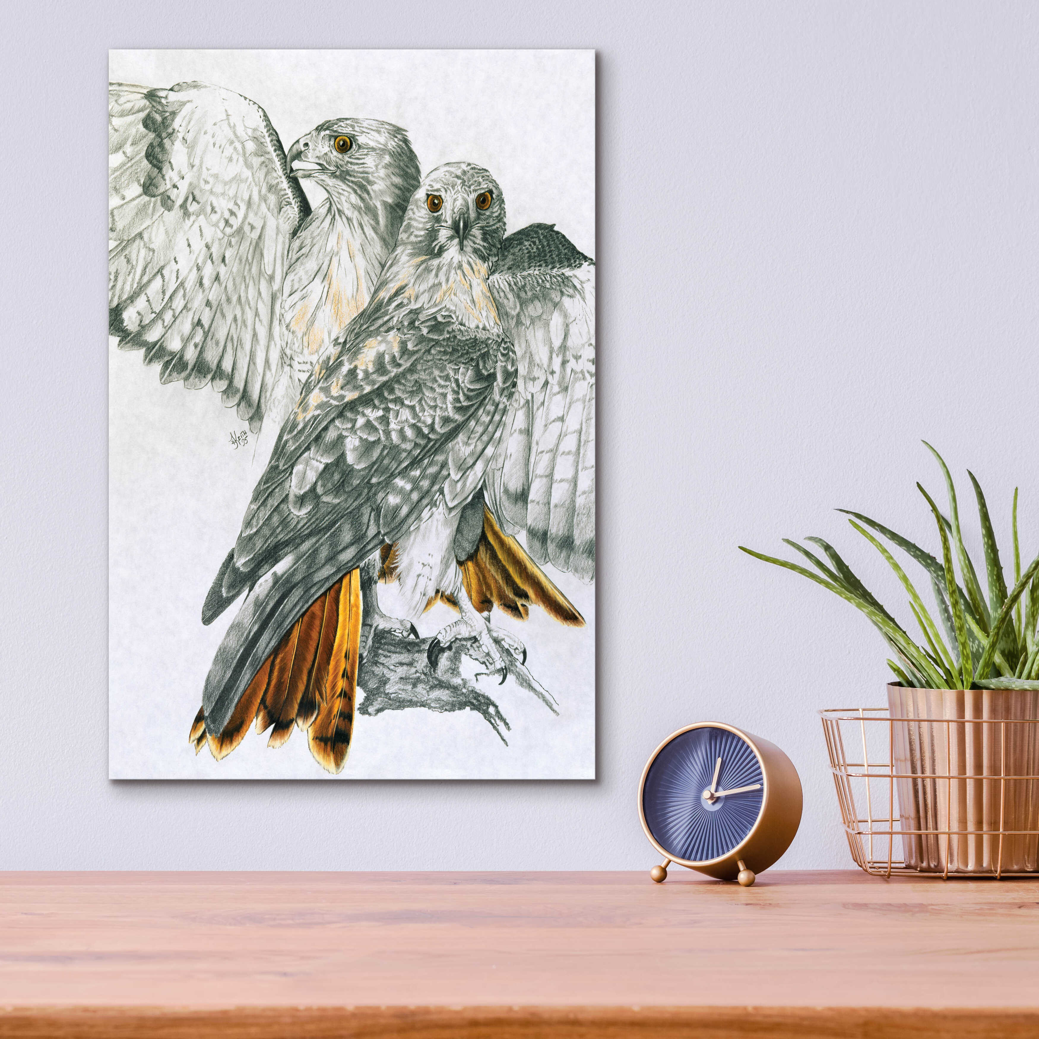 Millwood Pines Redtailed Hawk by Barbara Keith - Unframed Print ...