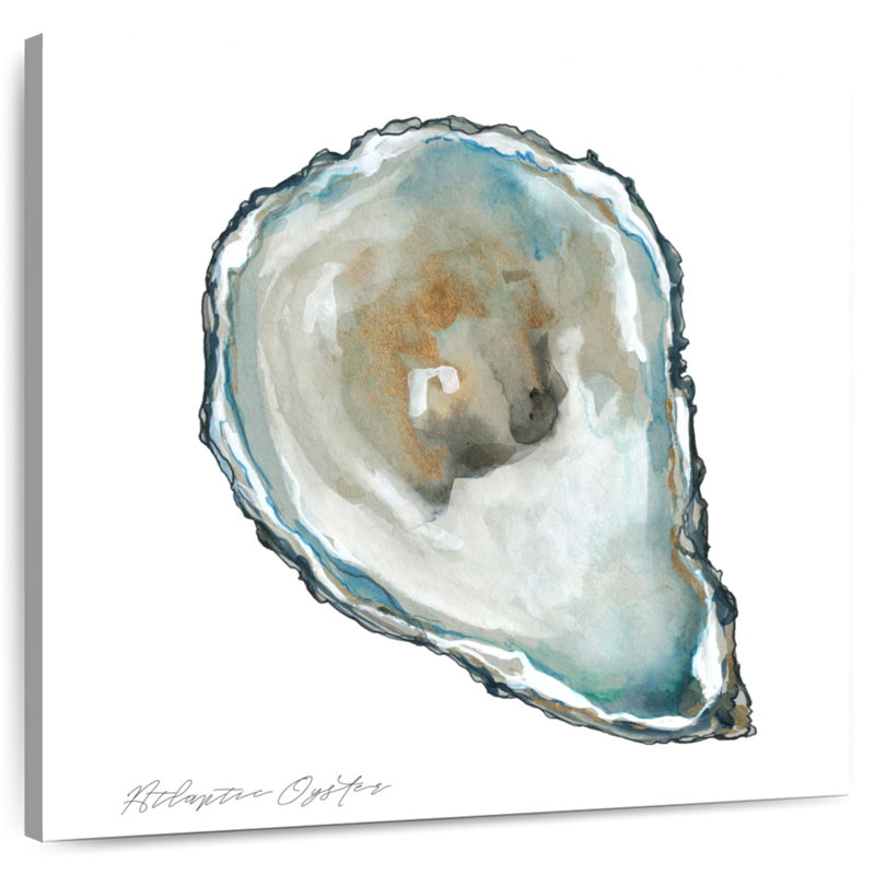 Adeliza Atlantic Oyster