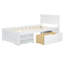 Lit avec tiroir et deux tablettes pratiques-118042511-118042512