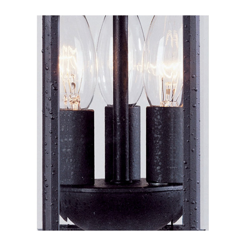 Affric 3 -Bulb 13.75" H Outdoor Hanging Lantern in Textured Black, Textured Black