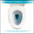 Modern Ceramic One Piece Toilet,Dual Flush With Soft Clsoing Seat