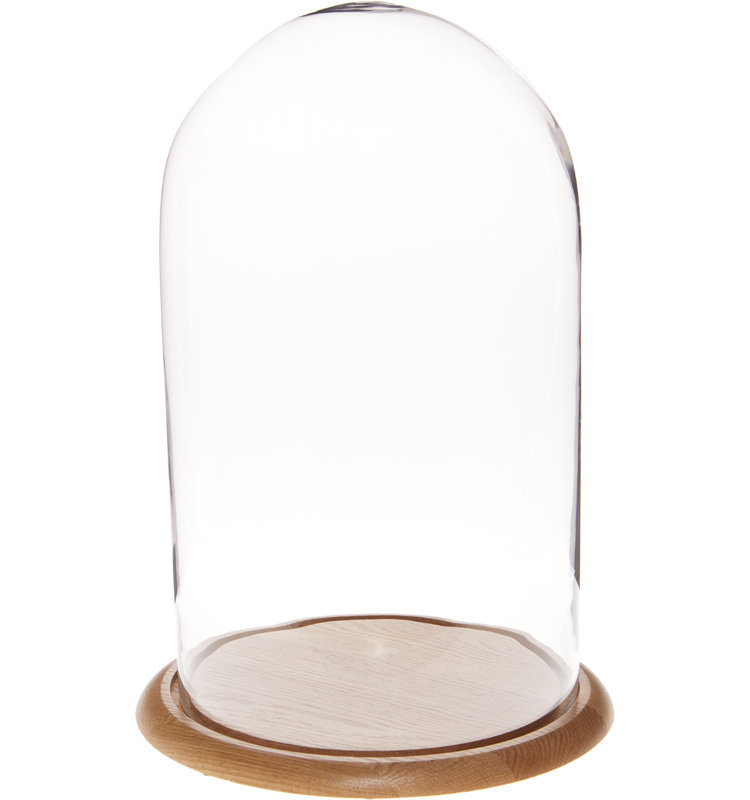 Cloche en verre Vucciria, Base en chêne, H 23 po x l 11,75 po x P 11,75 po
