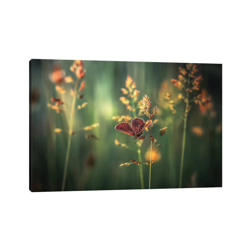 Last Light by Florentin Vinogradof - Wrapped Canvas Print, 66.04 cm H x 45.72 cm W x 3.175 cm D