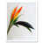White Framed Unframed is out of stock