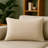 Homey COZY Textured Throw Pillow