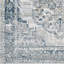 Grey Traditional Rug, Bordered Floral Stain Resistant Easy to Clean Rug For Living Room, Dining Room, Bedroom-1241708286