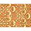 Hand Knotted Area Rug in Terracota
