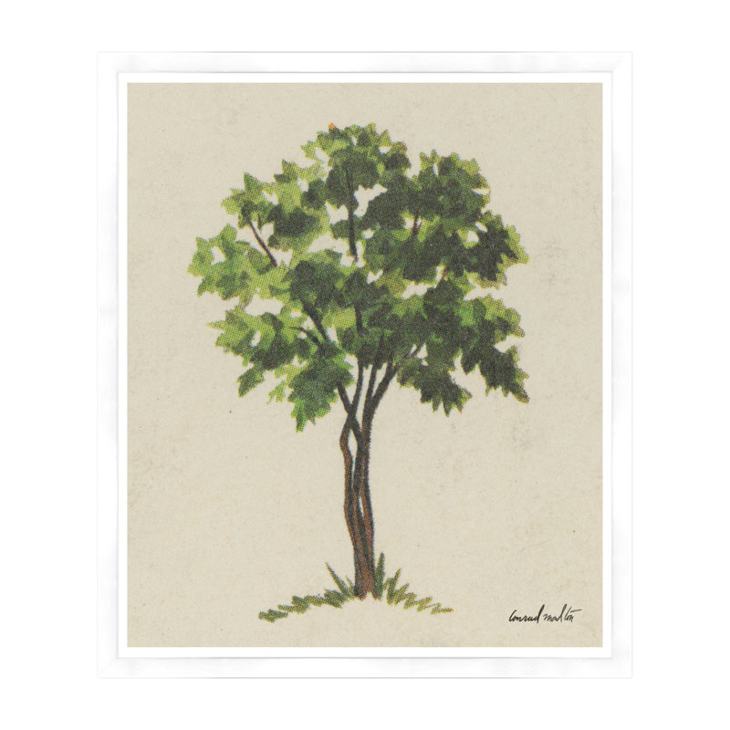 Quatre branches avec cadre noir, Cadre blanc