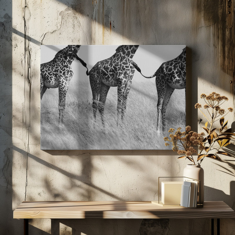 Wrapped Canvas Print