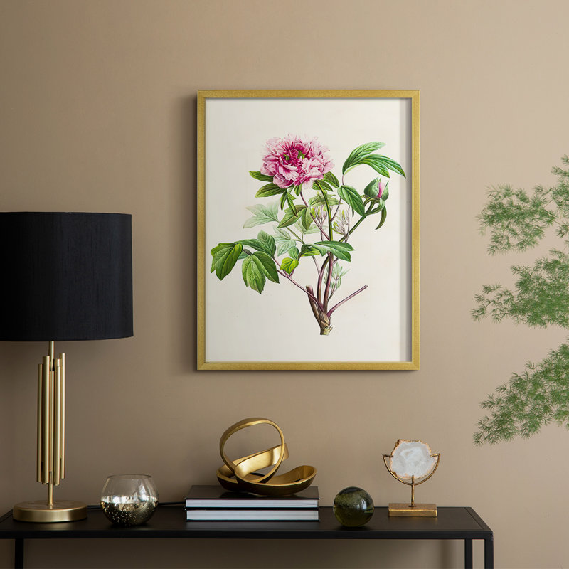 «Pretty Pink Botanicals», reproduction encadrée en bois massif