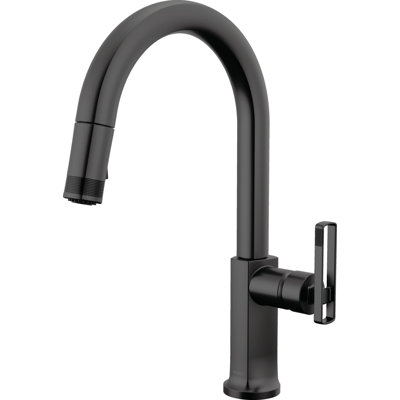 Kintsu® Pull-Down Faucet With Arc Spout
