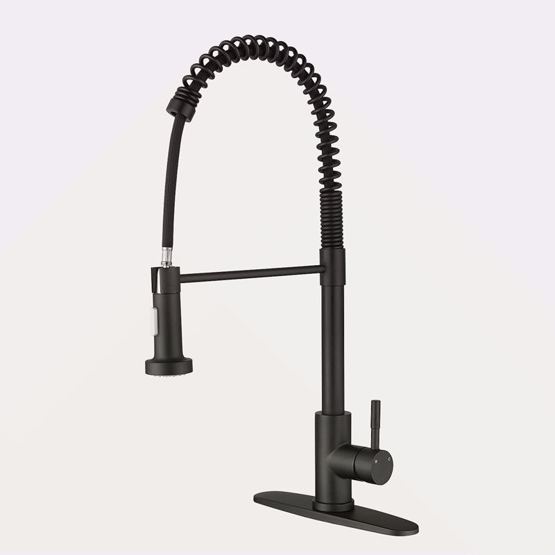Robinet de cuisine avec douchette extractible