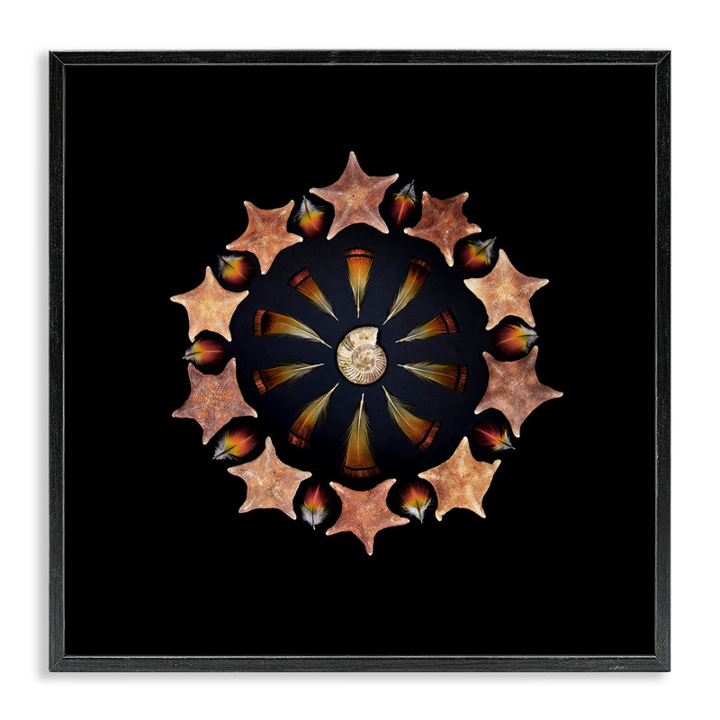 «Nautical Nature Arrangement», estampe numérique, conception de Beth Adoette, Giclée noire de minuit encadrée