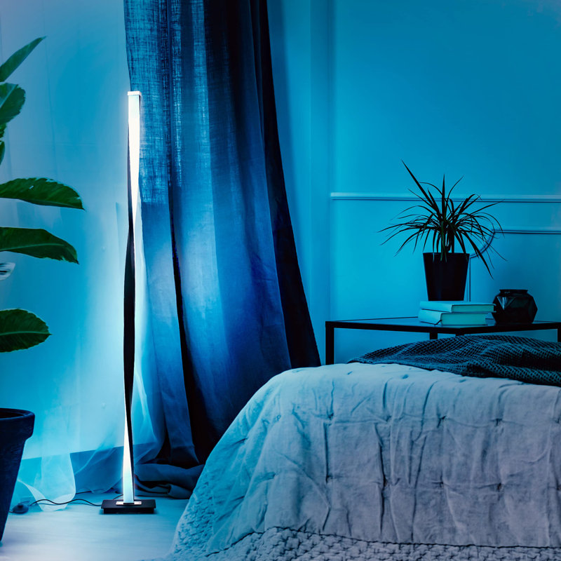 47.99'' Black LED Novelty Floor Lamp