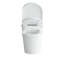 Toilette allongée pour bidet Tusuton 1,32 GPF (siège inclus)