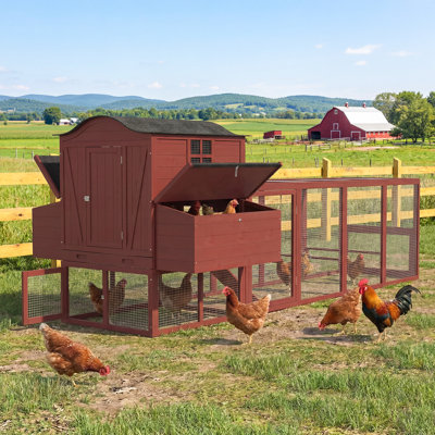 Très grand poulailler en bois de 138 pouces pour 6 à 10 poules, poulailler avec cour pour l'extérieur, 6 nichoirs, toit imperméable résistant aux rayons UV, plateau de nettoyage coulissant et rampe antidérapante (brun rougeâtre)