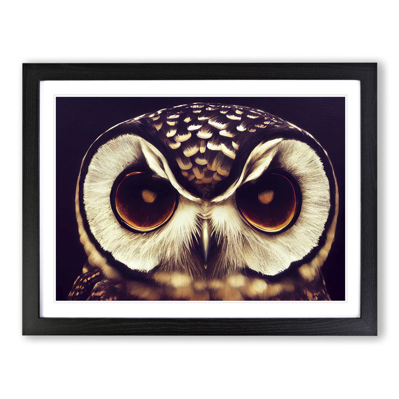 Exquisite Owl - Single Picture Frame Print, 46cm H x 64cm W x 2cm D, Black Framed