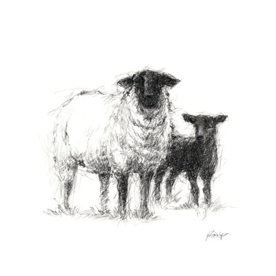Étude de moutons au charbon II