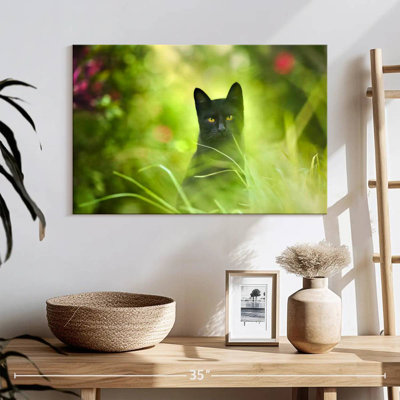 Chat noir Brampt