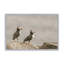 Reproduction d'art Atlantic Puffin pair par Nathan Larson-131109377-131109374-131109380