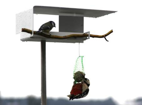 Metal Pole Decorative Bird Feeder