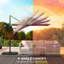 244cm Cantilever Parasol-2035172600