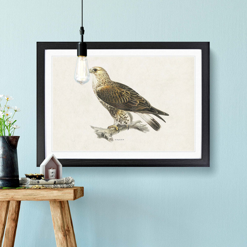 Rough-Legged Hawk by Von Wright - Picture Frame Graphic Art Print, 40cm H x 60cm W x 2cm D, Black