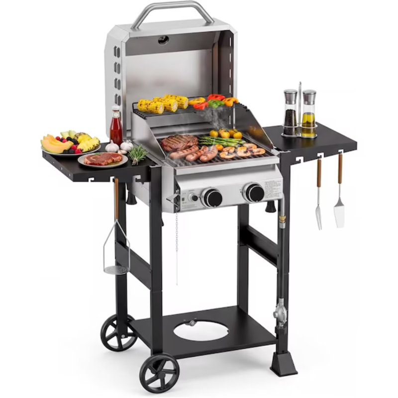 Barbecue au propane à 2 brûleurs avec poêle à frire en fonte et grilles, grille en acier inoxydable à sortie de 16 000 BTU pour la cuisine extérieure, le patio, la fête dans la cour