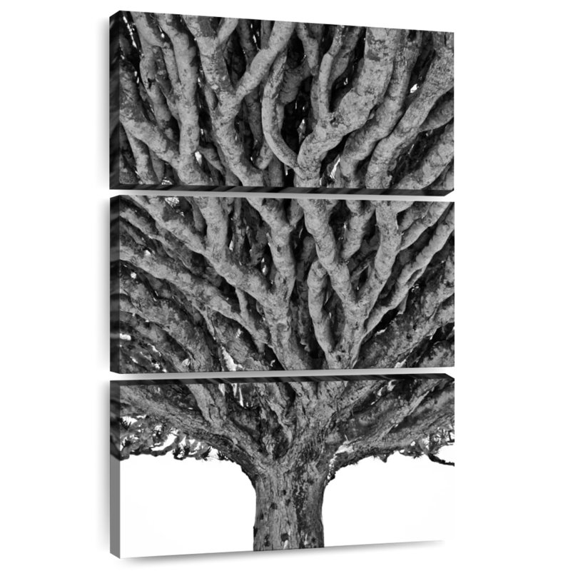 Arbre dragon Harnek, H 32 po x l 20 po