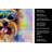 Yorkshire Terrier Hippie Dawg Kitchen Towel