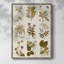 Antique Floral Grid II, reproduction encadrée - bois massif-791373748