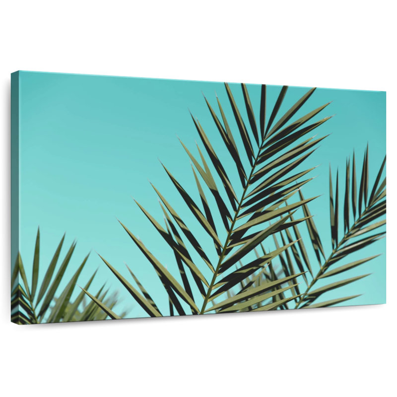 Feuilles de palmier Harnek Sky, H 30 po x l 45 po