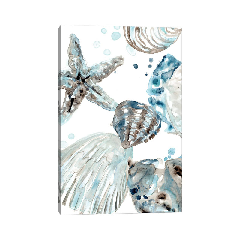 Cerulean Seashells II by June Erica Vess - Wrapped Canvas Painting, 66.04 cm H x 45.72 cm W x 1.91 cm D