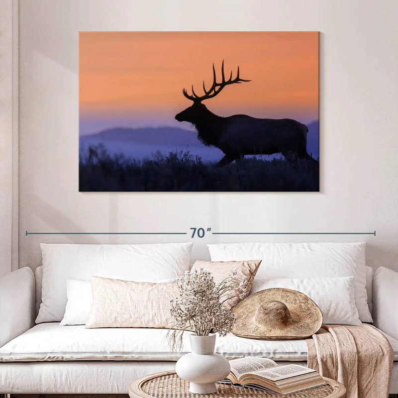 Wapiti brulé contre le coucher du soleil