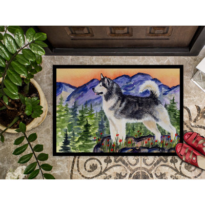 Non-Slip Indoor Doormat