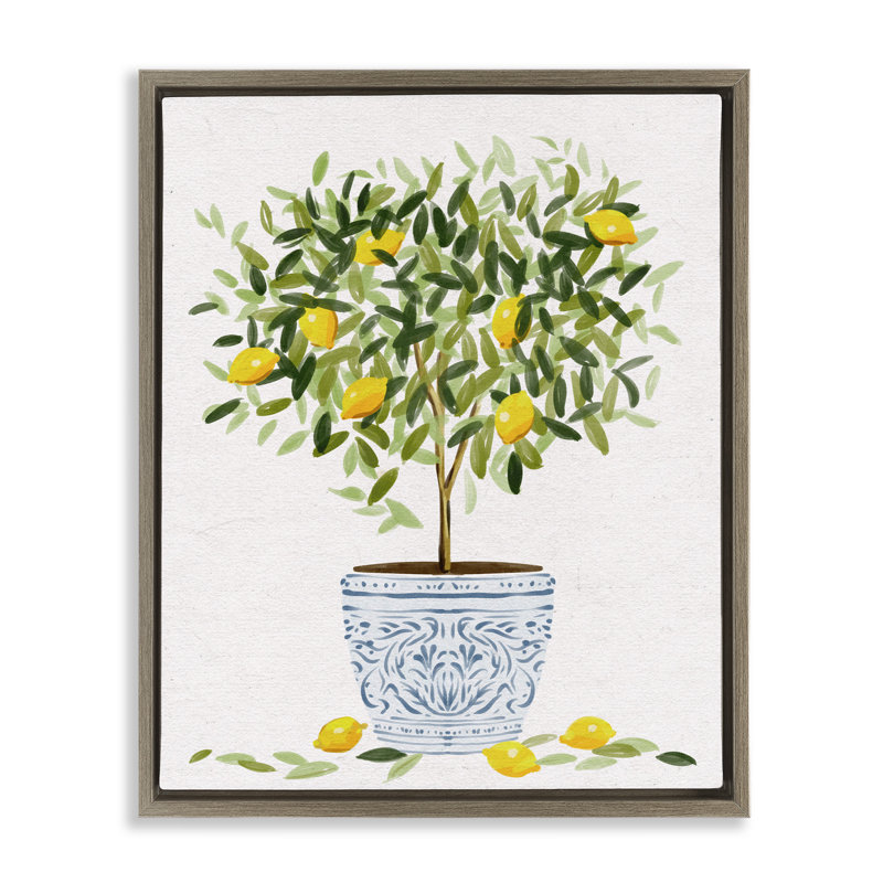 Pot à fleurs Lemon Tree, Cadre flottant orme Montalcino, H 31 po x l 25 po