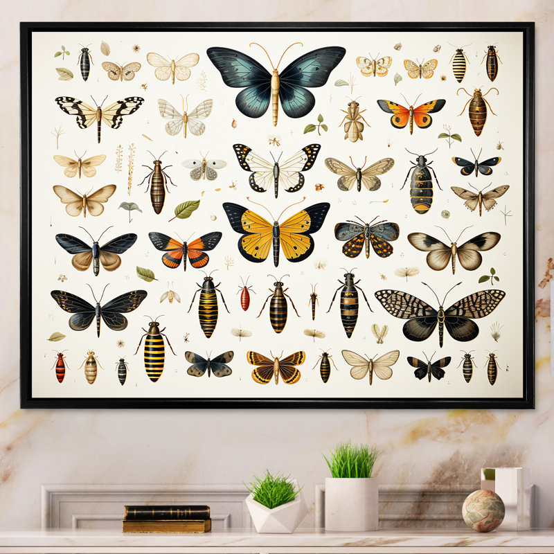Insectes et insectes jaunes et bleus - Insectes et insectes muraux, Cadre flottant noir, H 34 po x l 44 po x P 1,5 po