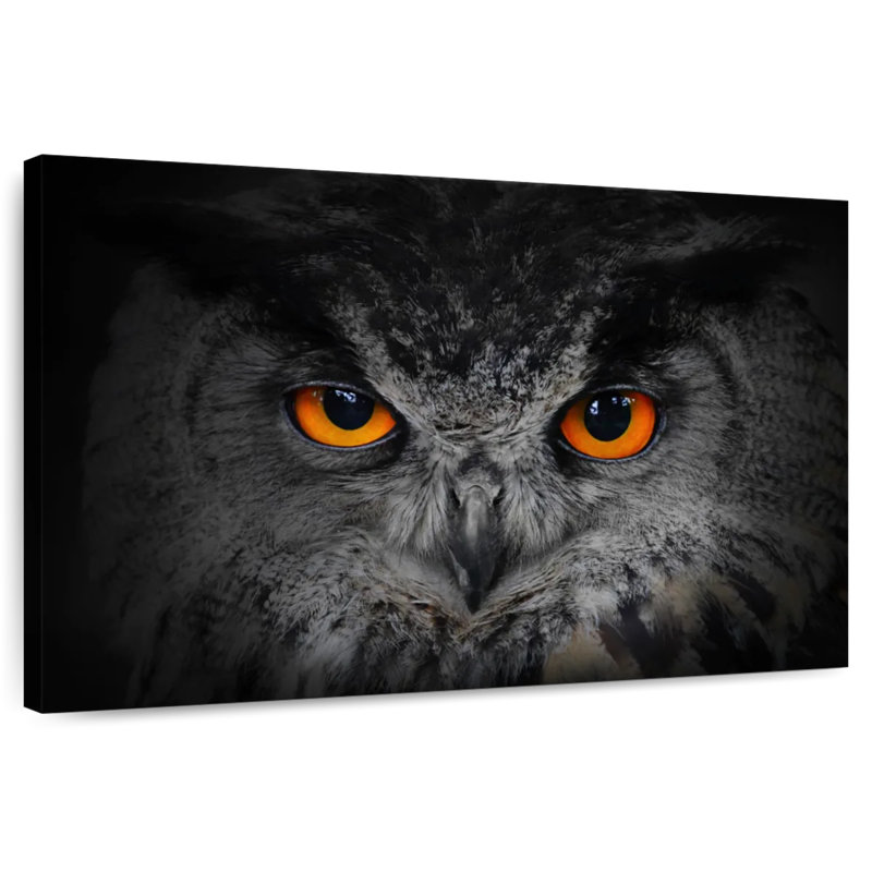 Crowle Eyed Owl, 8" H x 12" W
