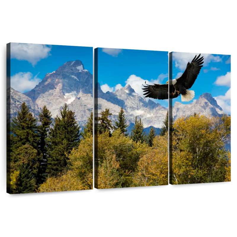 Brampt Grand Teton Eagle, 36" H x 57" W