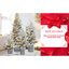 Arbre de Noël 2 pi-1322207959