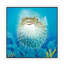 Puffer Fish by Durwood Coffey - Painting on Canvas-42154549-56674735