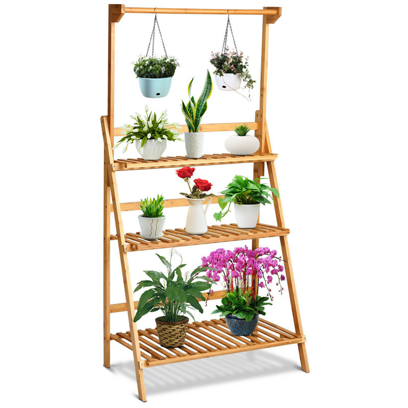 Galax Plant Stand