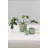 Everleaf Pot 3- Small