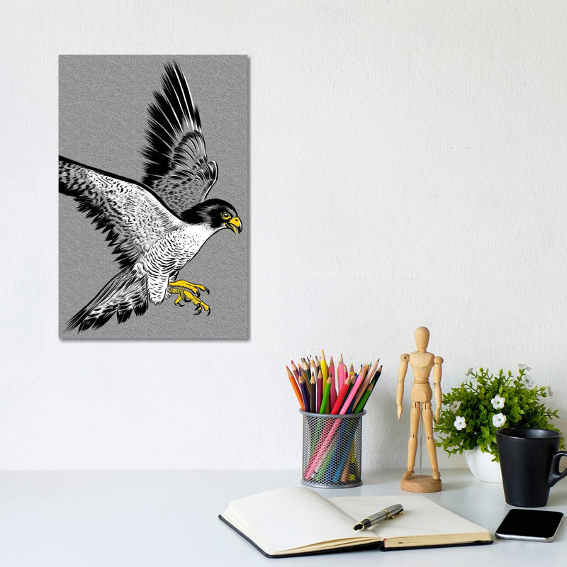 Hawk Sketch by Alberto Perez - Wrapped Canvas Print, 30.48cm H x 20.32cm W x 1.91cm D